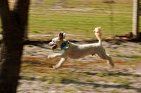 ©Susan Farley Photography/NYC and Westchester Portrait Photographer - ©2023 Susan Farley Photography NYC, NY                                                              