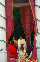 ©2025 Susan Farley Photography NYC, NY                                                              