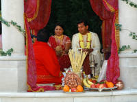 ©2025 Susan Farley Photography NYC, NY                                                              