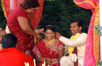 ©2025 Susan Farley Photography NYC, NY                                                              