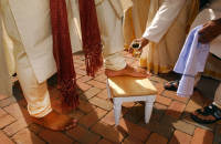 ©2025 Susan Farley Photography NYC, NY                                                              