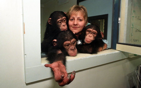 Chimps at a lab before rescue ©Susan Farley Photography/NYC and Westchester Portrait Photographer.Best NYC  event, Portrait and Corporate freelance photographer