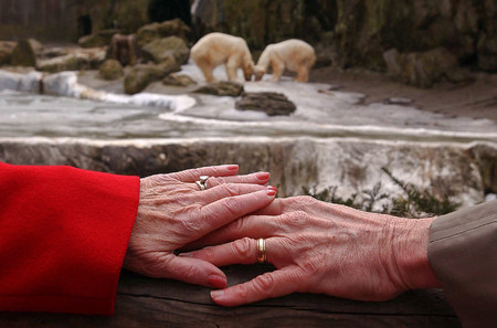 A couple whose first date was at The Bronx Zoo return for a St. Valentine's Day anniversary©Susan Farley Photography/NYC and Westchester Portrait Photographer.Best NYC  event, Portrait and Corporate freelance photographer